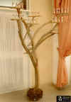 arbol_2.jpg (27181 bytes)